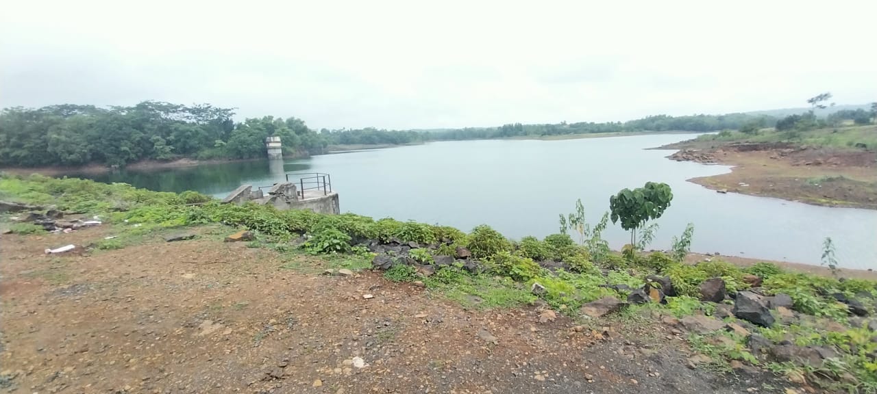 पिंपूर्णा धरतील कालव्याचा शेतकऱ्यांना काहीच फायदा नाही.
