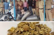 अफू या अमली पदार्थांची वाहतूक करणाऱ्या आरोपींवर पालघर पोलिस दलाकडून कारवाई.