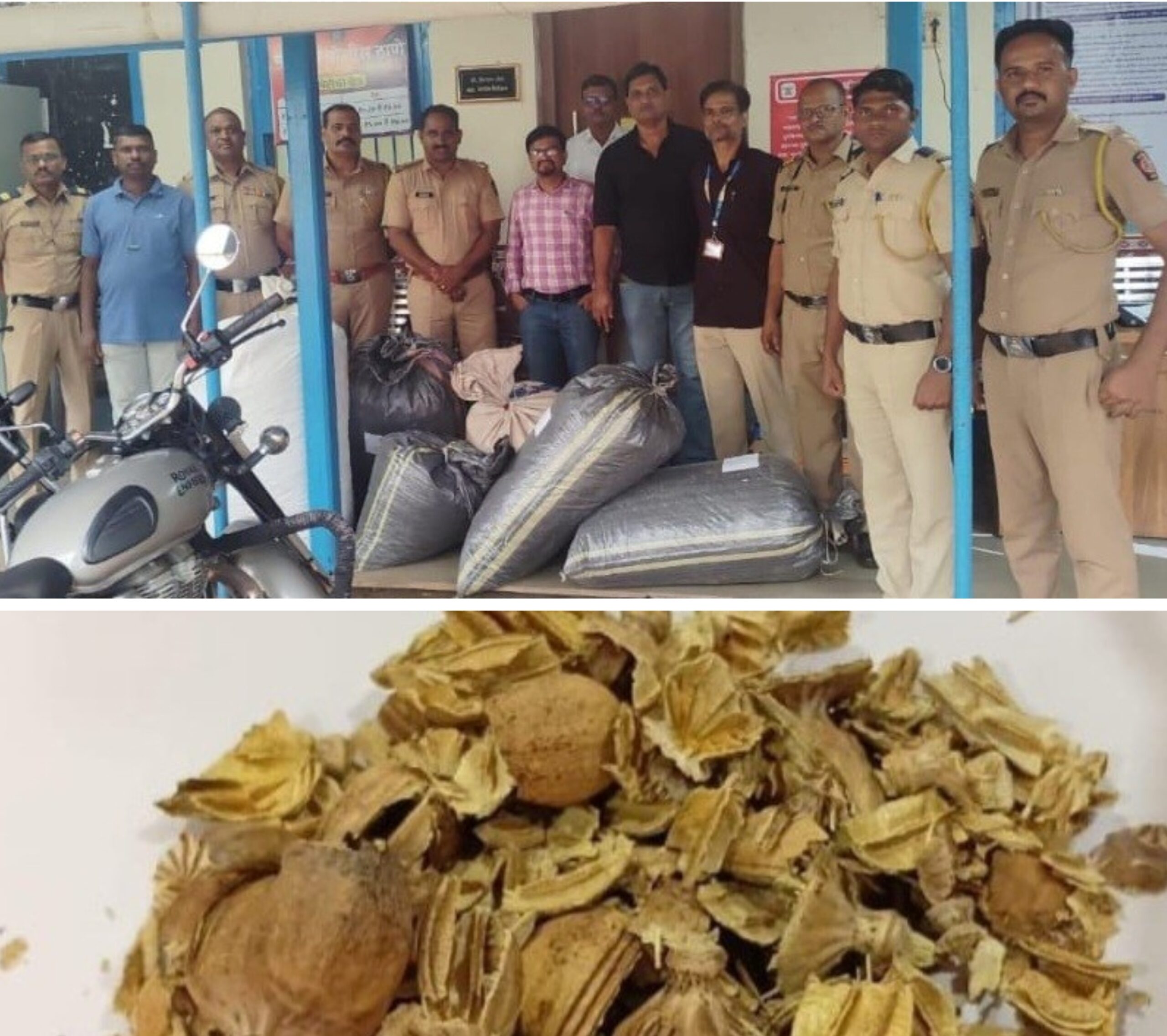 अफू या अमली पदार्थांची वाहतूक करणाऱ्या आरोपींवर पालघर पोलिस दलाकडून कारवाई.